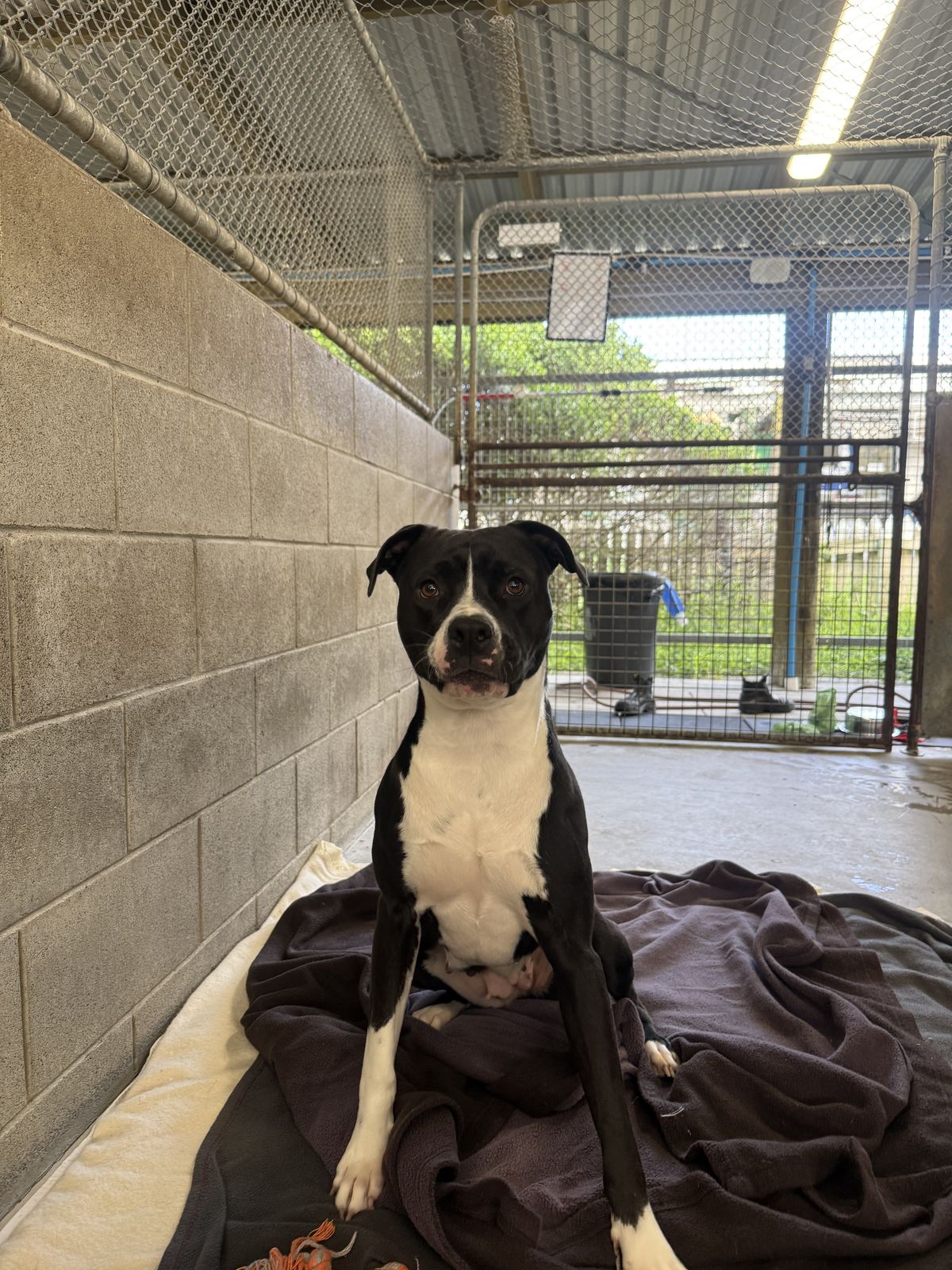 Gallery image: Shayla