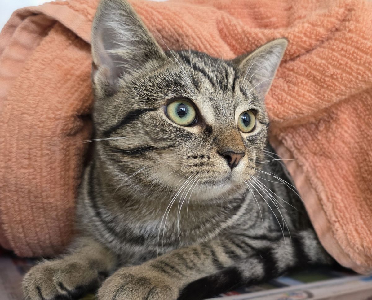 Gallery image: Grumpy Gary