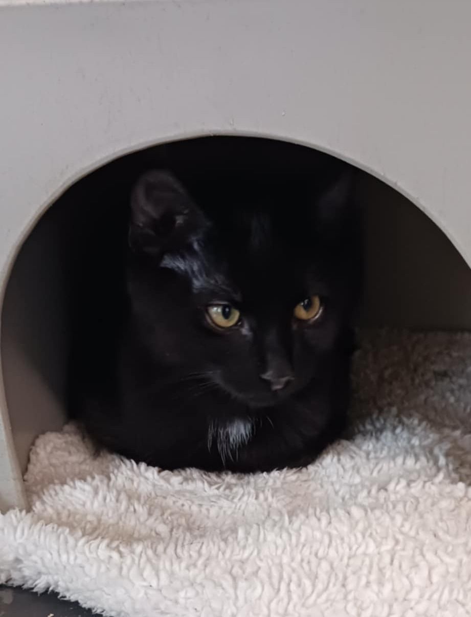 Gallery image: Rodger