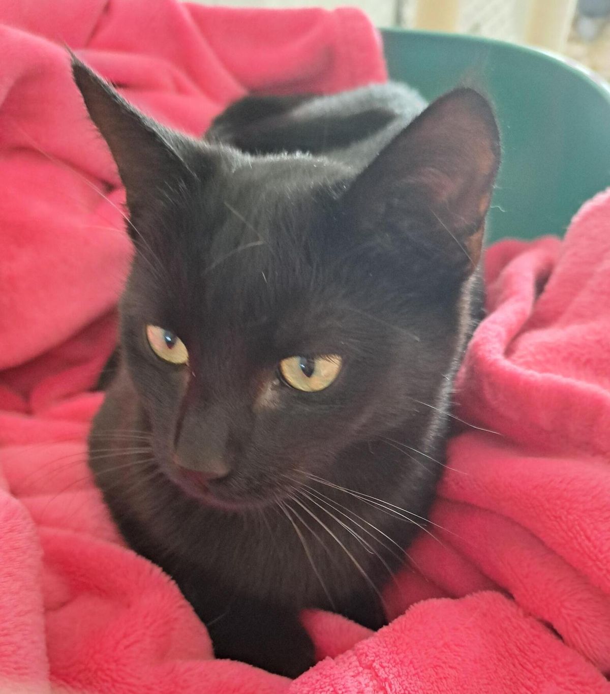 Gallery image: Grace