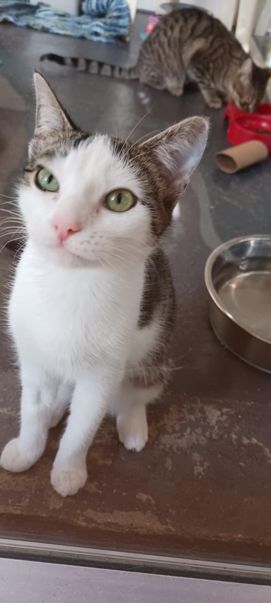 Gallery image: Michaela