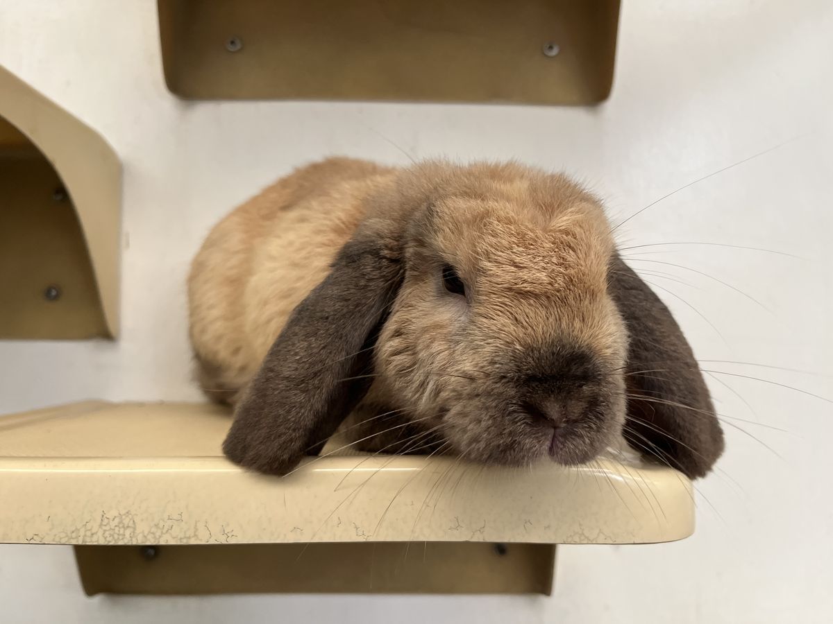 Gallery image: Bean Sprout