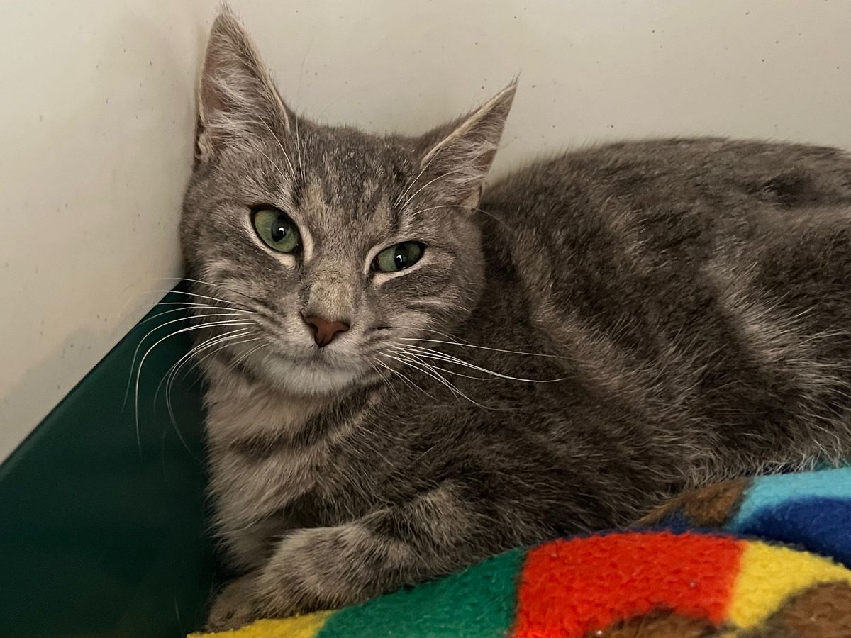 Gallery image: Benny