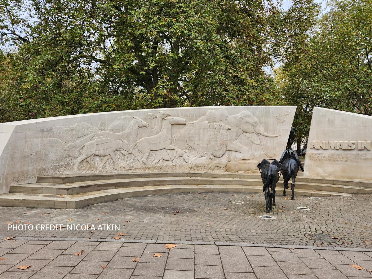 Remembering Animals in War