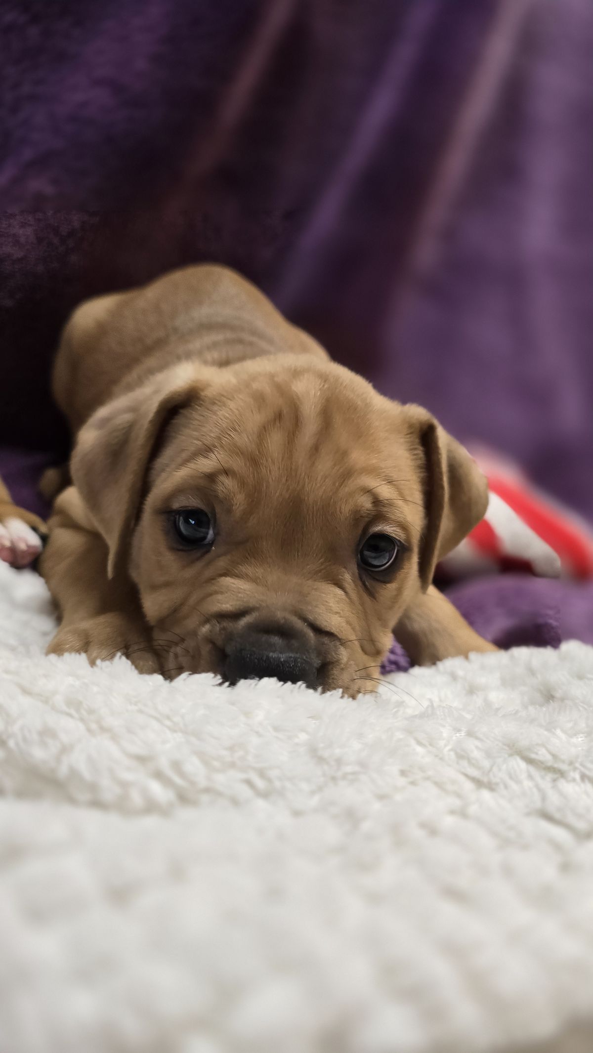 Gallery image: Vinnie