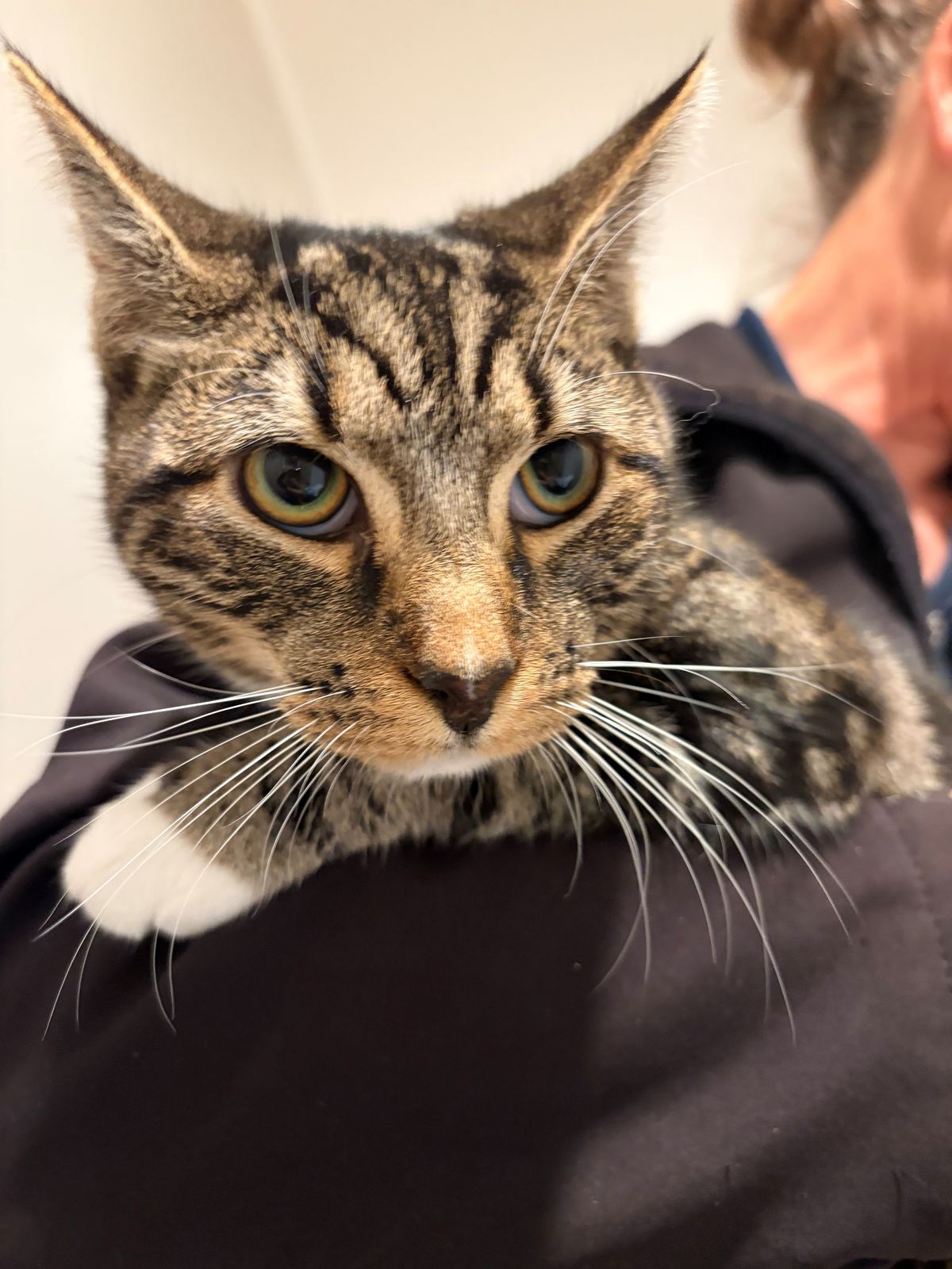 Gallery image: Marvel