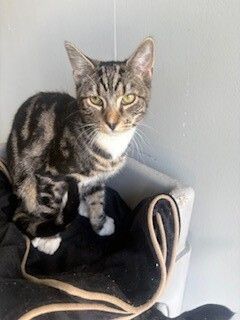 Gallery image: Marvel