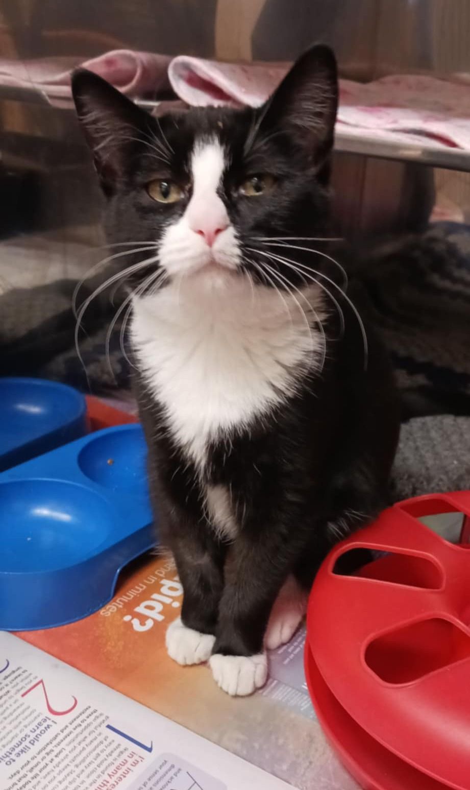 Gallery image: Freda