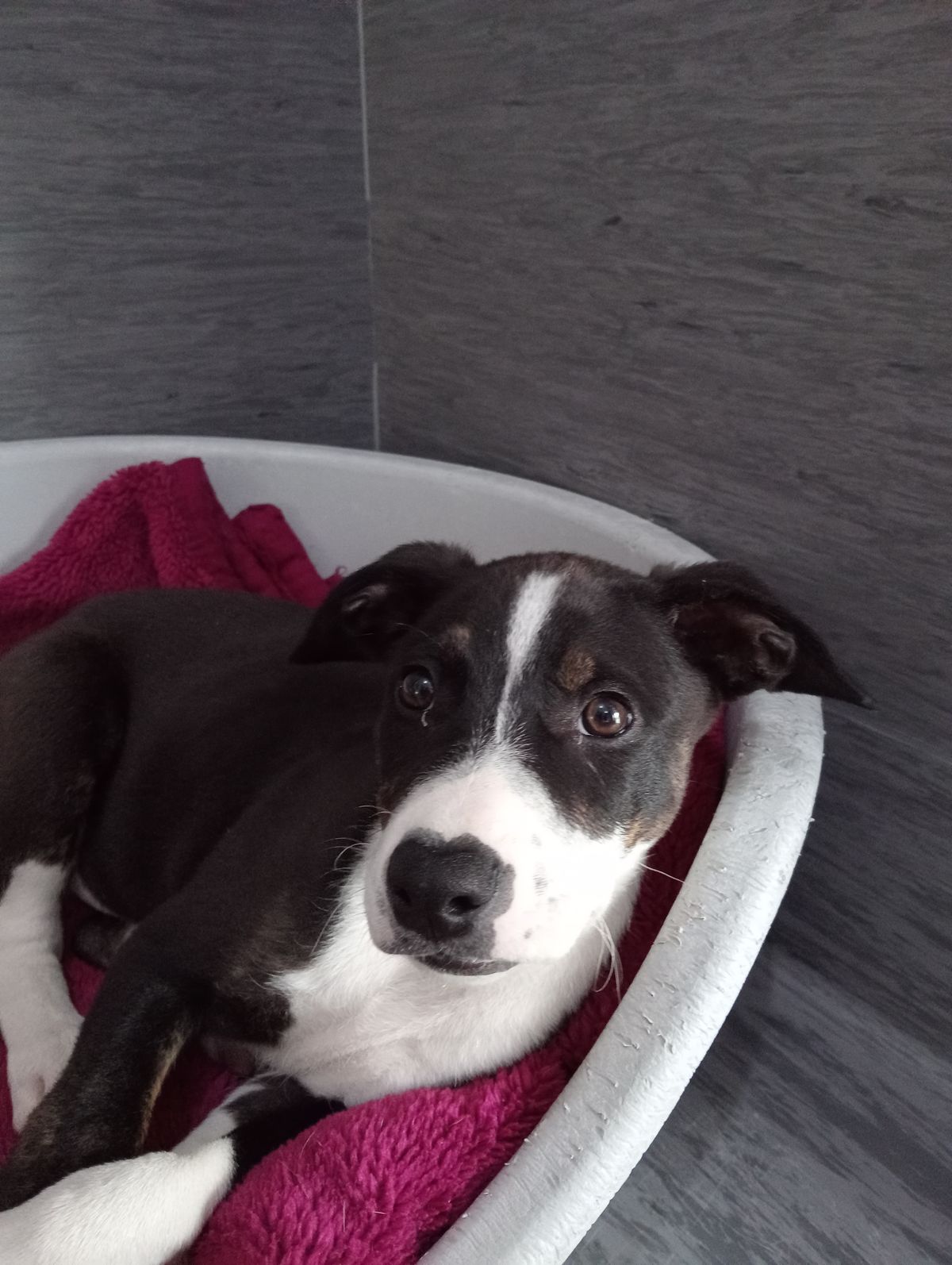 Gallery image: Flynn