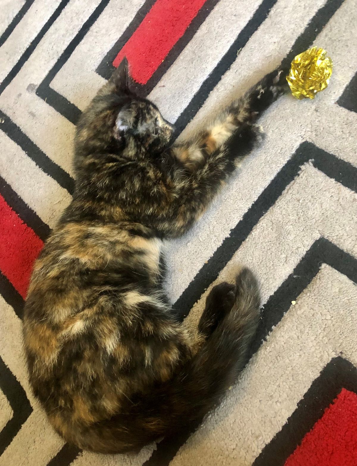 Gallery image: Kylie