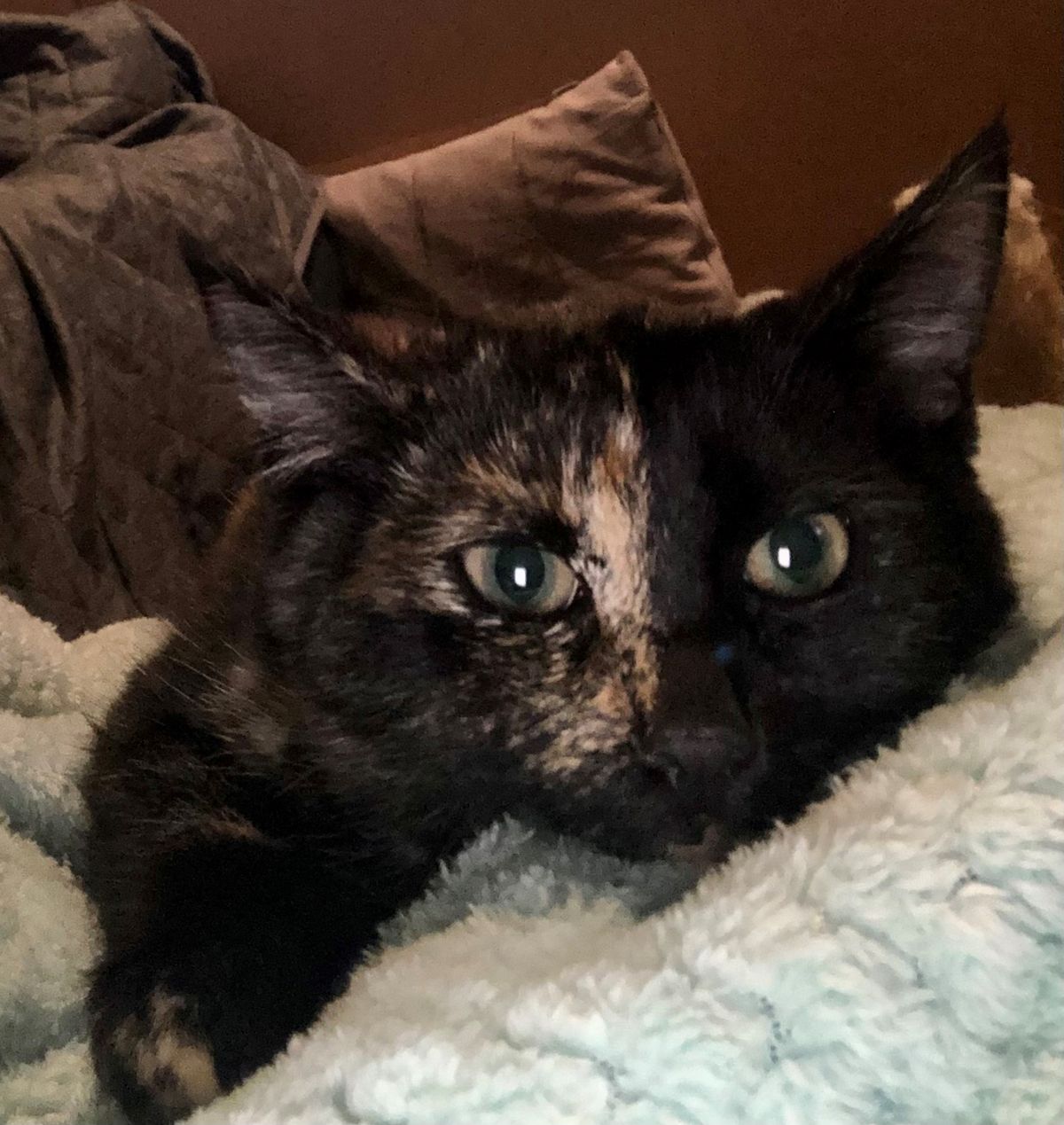 Gallery image: Kylie