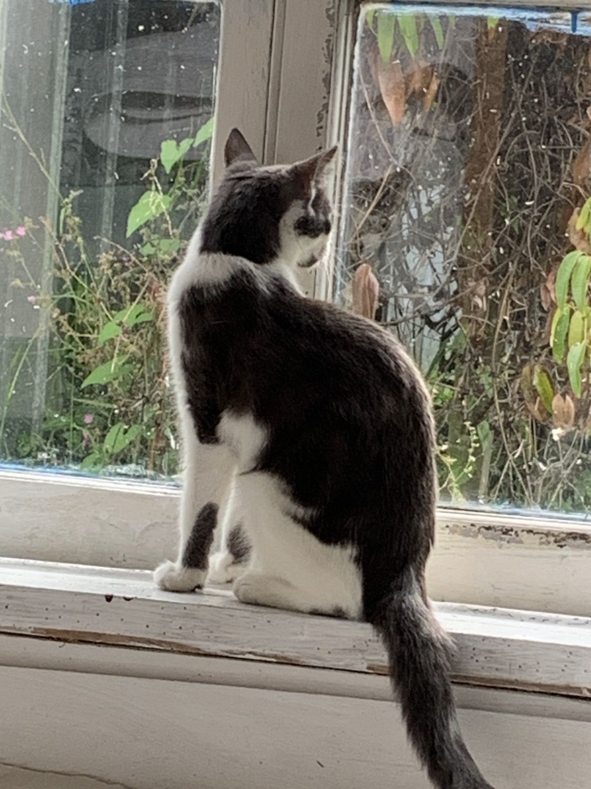 Gallery image: Esmeralda