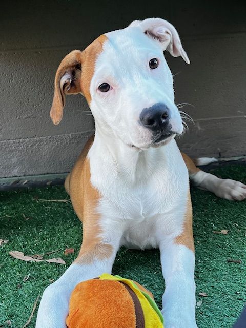 Gallery image: Lucia