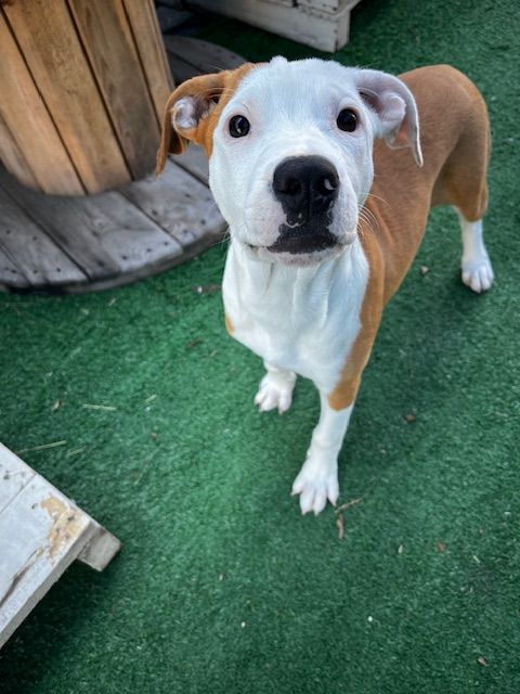 Gallery image: Lucia