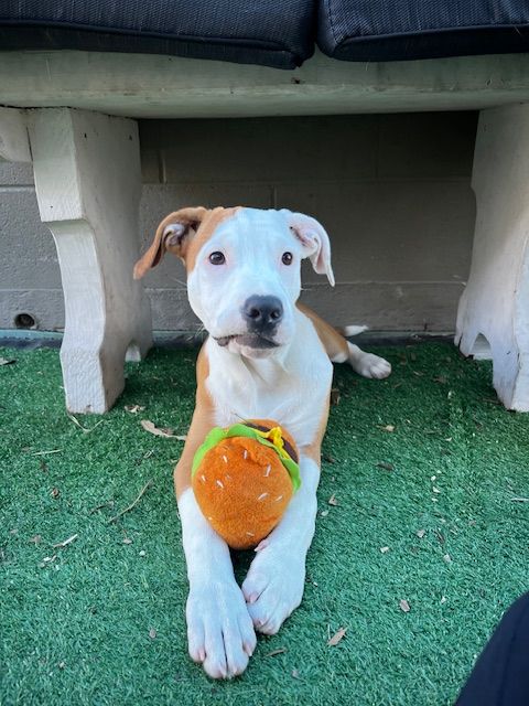 Gallery image: Lucia