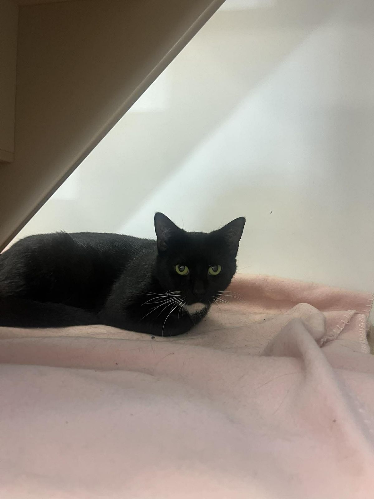 Gallery image: Ember