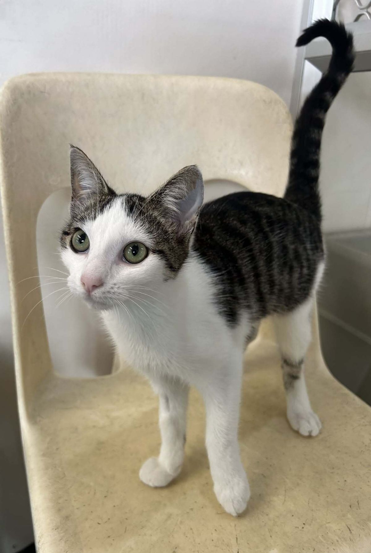 Gallery image: Michaela