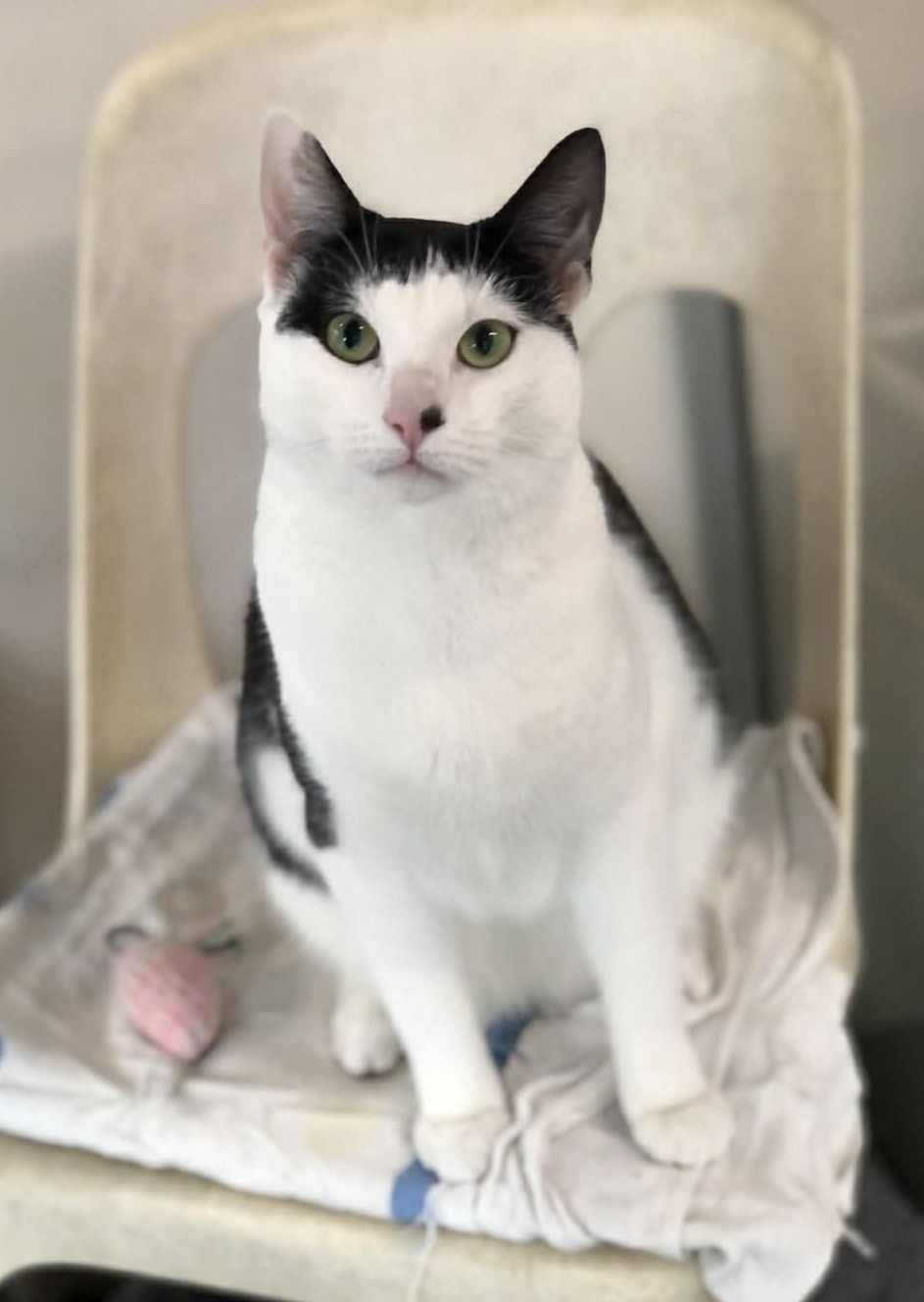 Gallery image: Frank