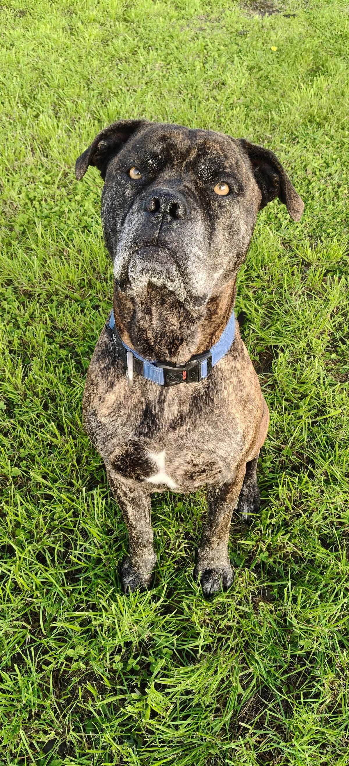 Gallery image: Jaxson