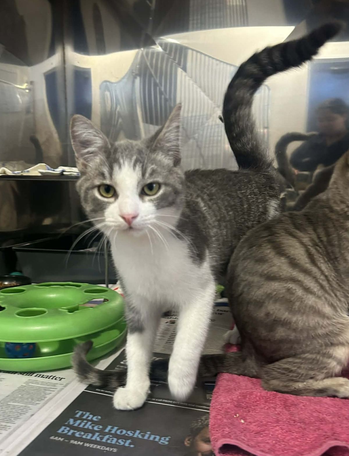 Gallery image: Dudley