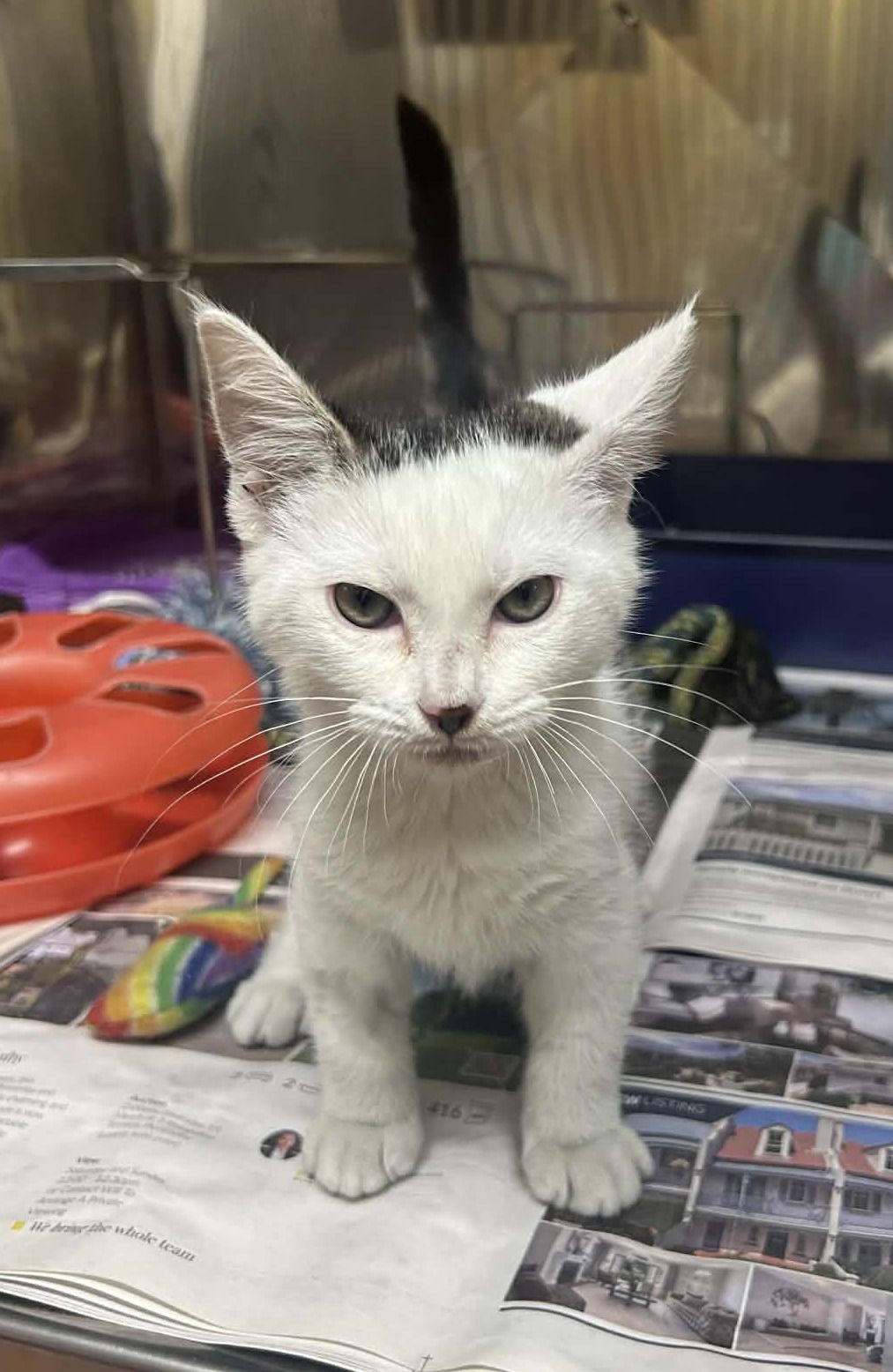 Gallery image: Sergio