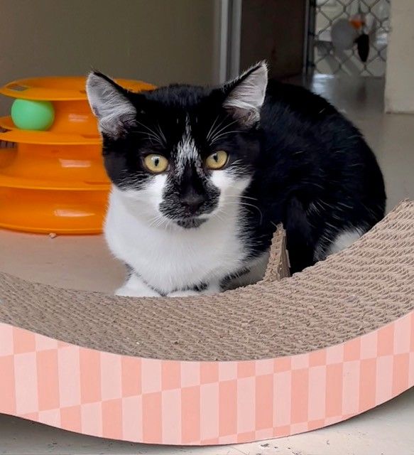 Gallery image: Dewey