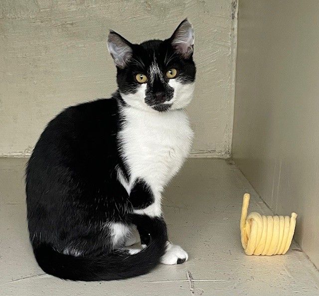 Gallery image: Dewey