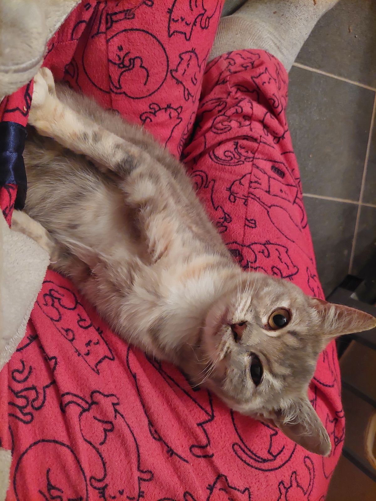 Gallery image: Jazmyn