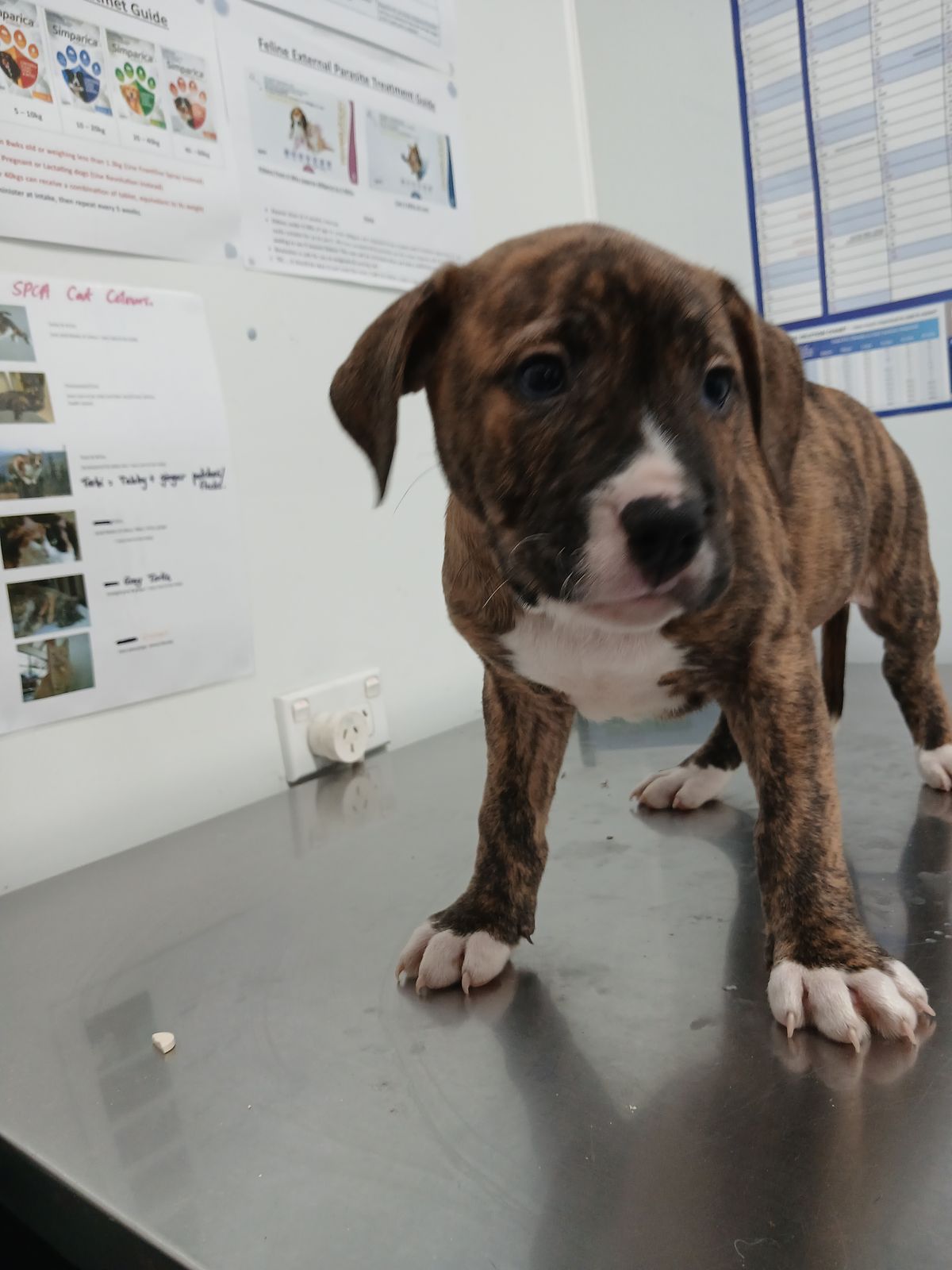 Gallery image: Doug Funnie