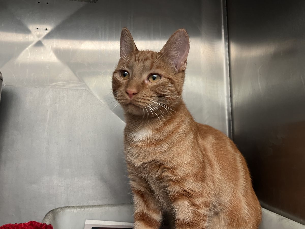 Gallery image: Timothee