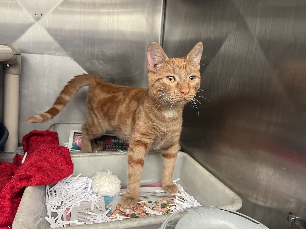 Gallery image: Timothee