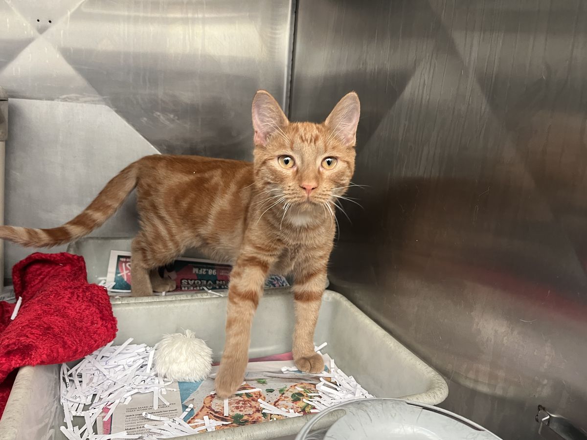 Gallery image: Timothee