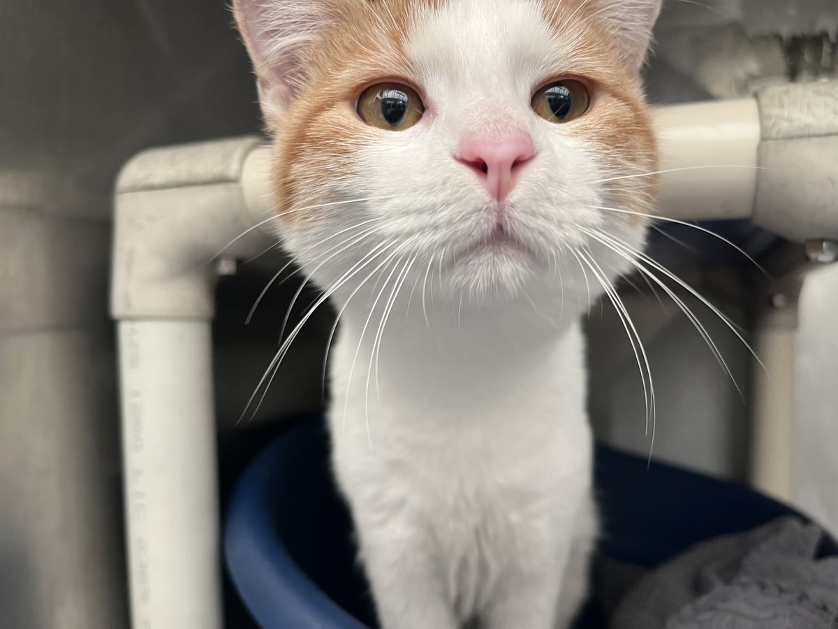 Gallery image: Brenna