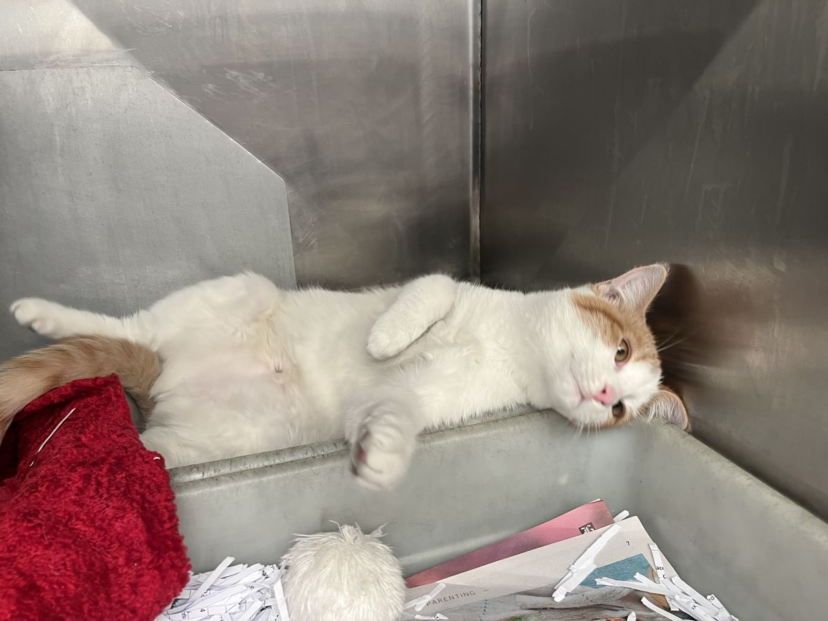 Gallery image: Brenna