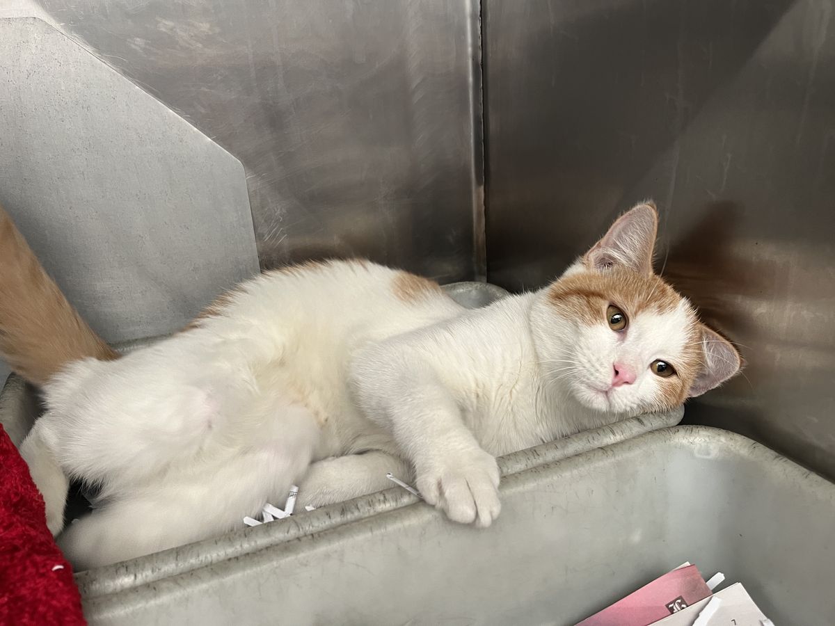 Gallery image: Brenna