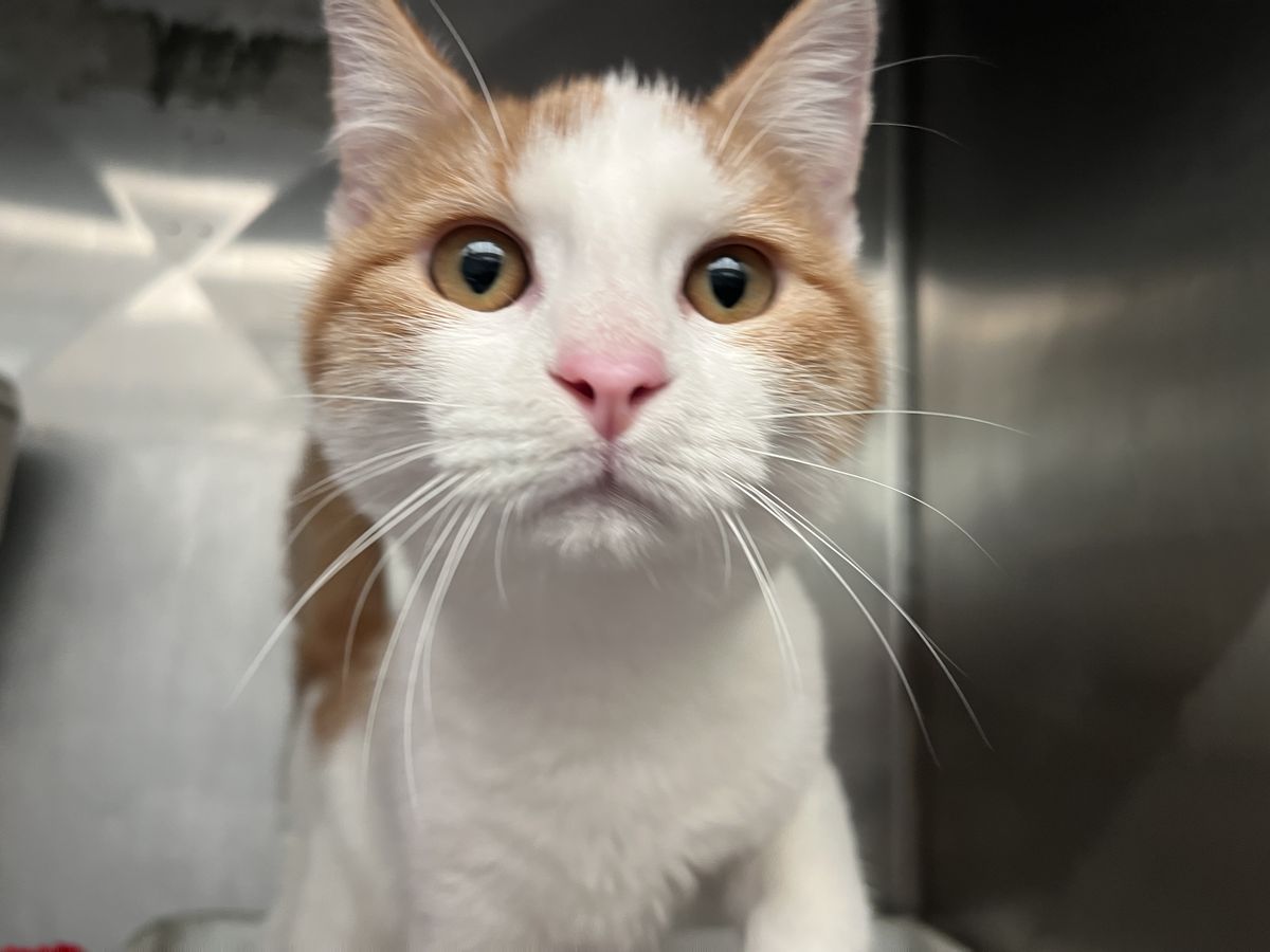 Gallery image: Brenna