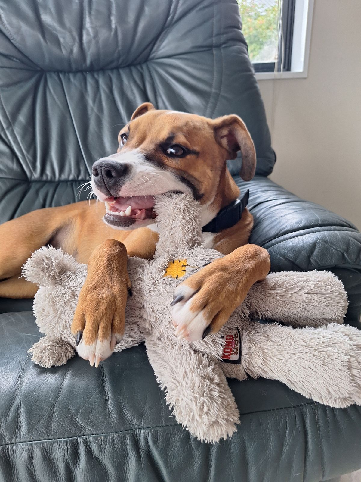 Gallery image: Hubble