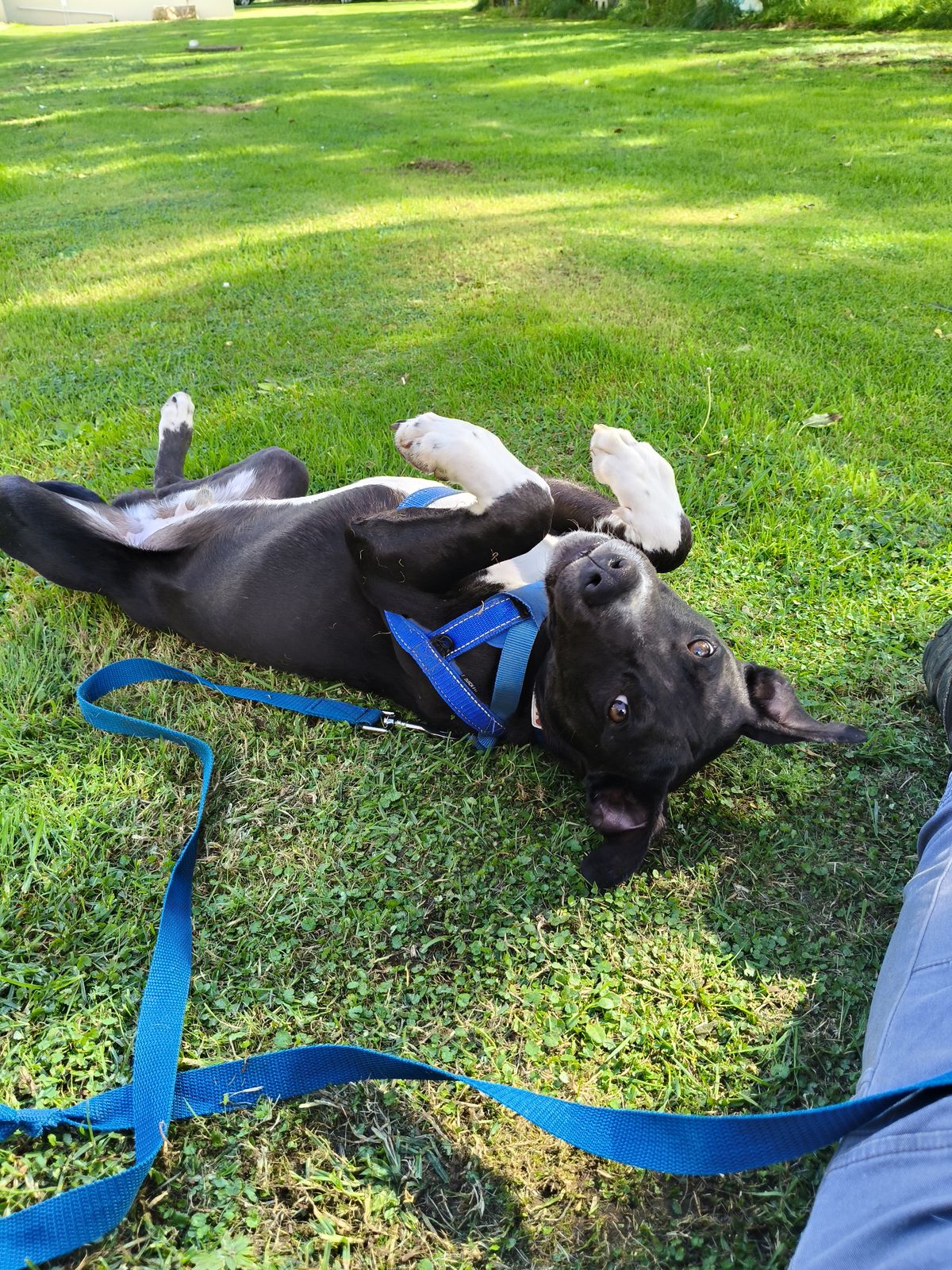 Gallery image: Quincy 