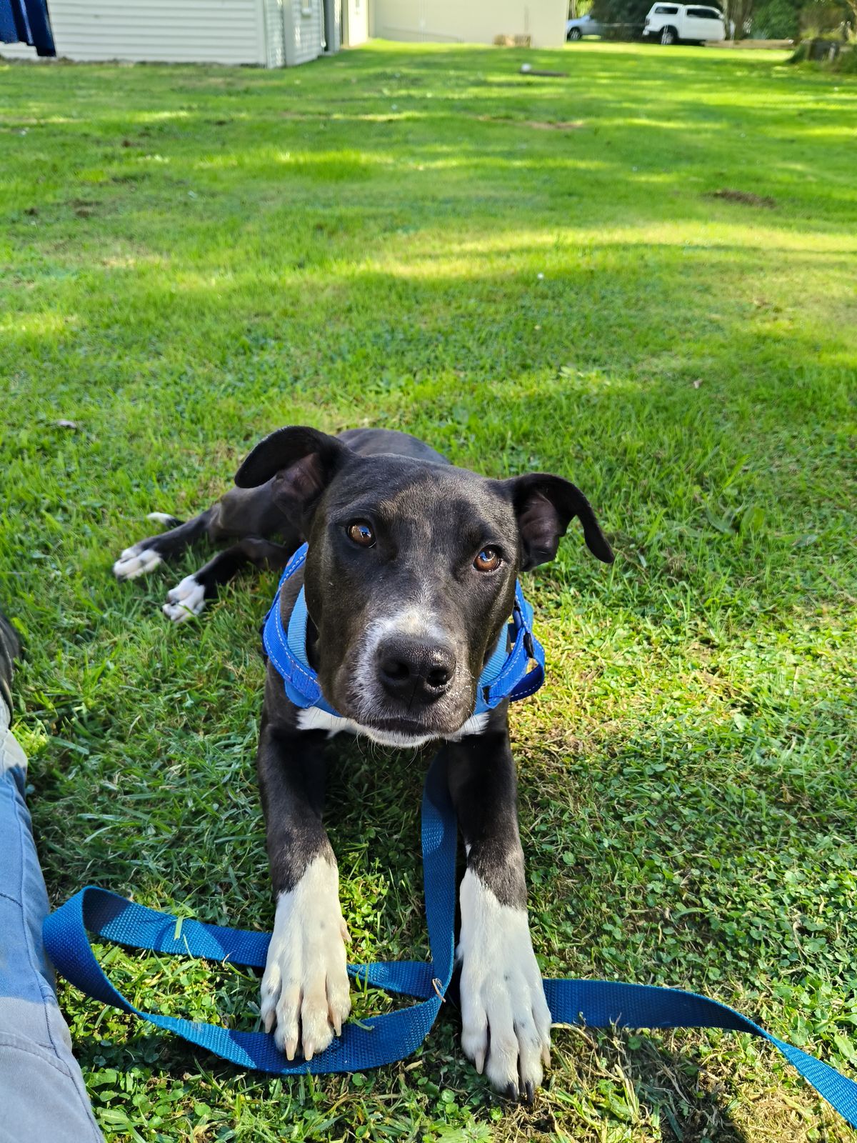 Gallery image: Quincy 