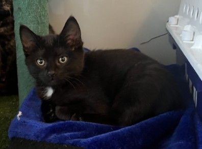 Gallery image: Beanie