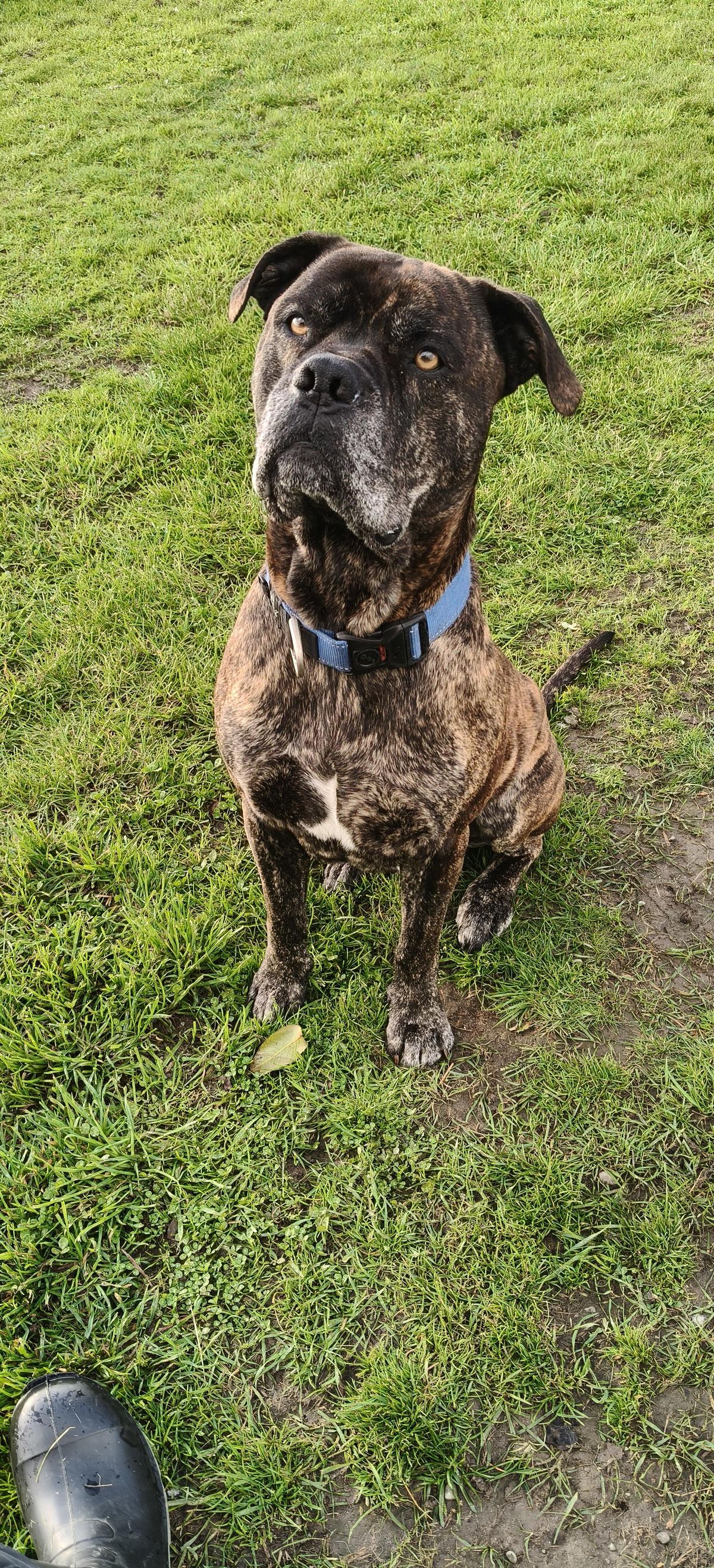 Gallery image: Jaxson