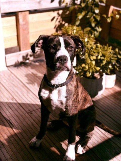 Gallery image: Mellow