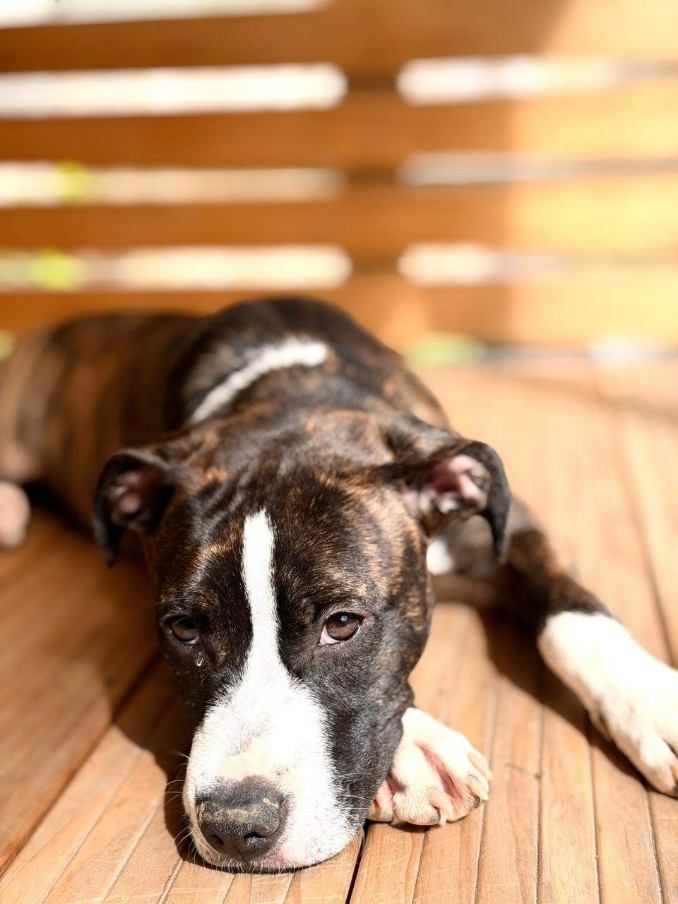 Gallery image: Mellow