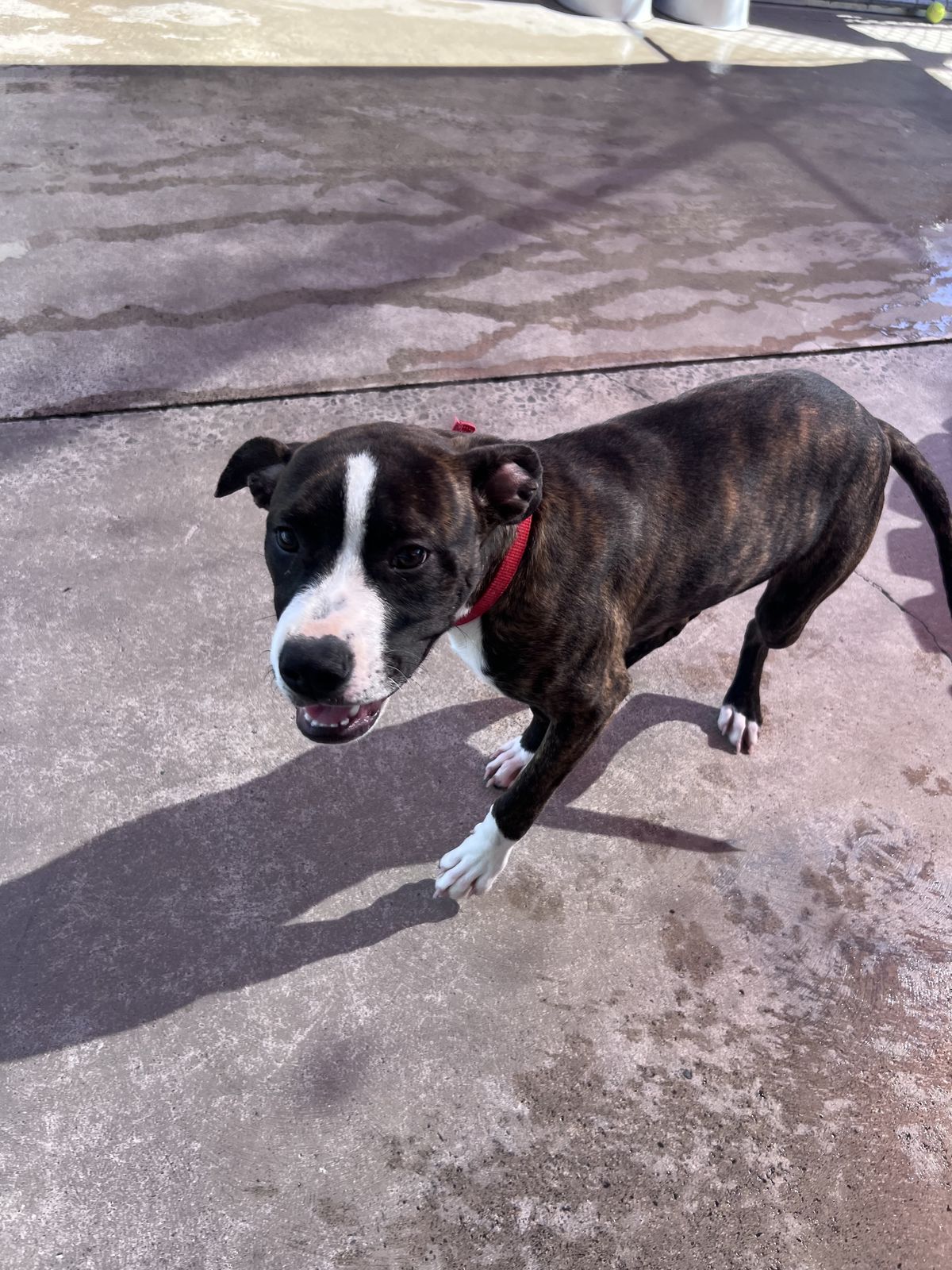 Gallery image: Mellow