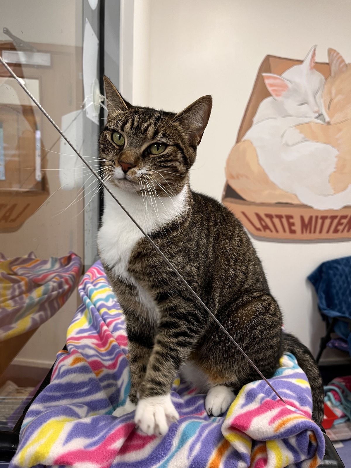 Gallery image: Pidan