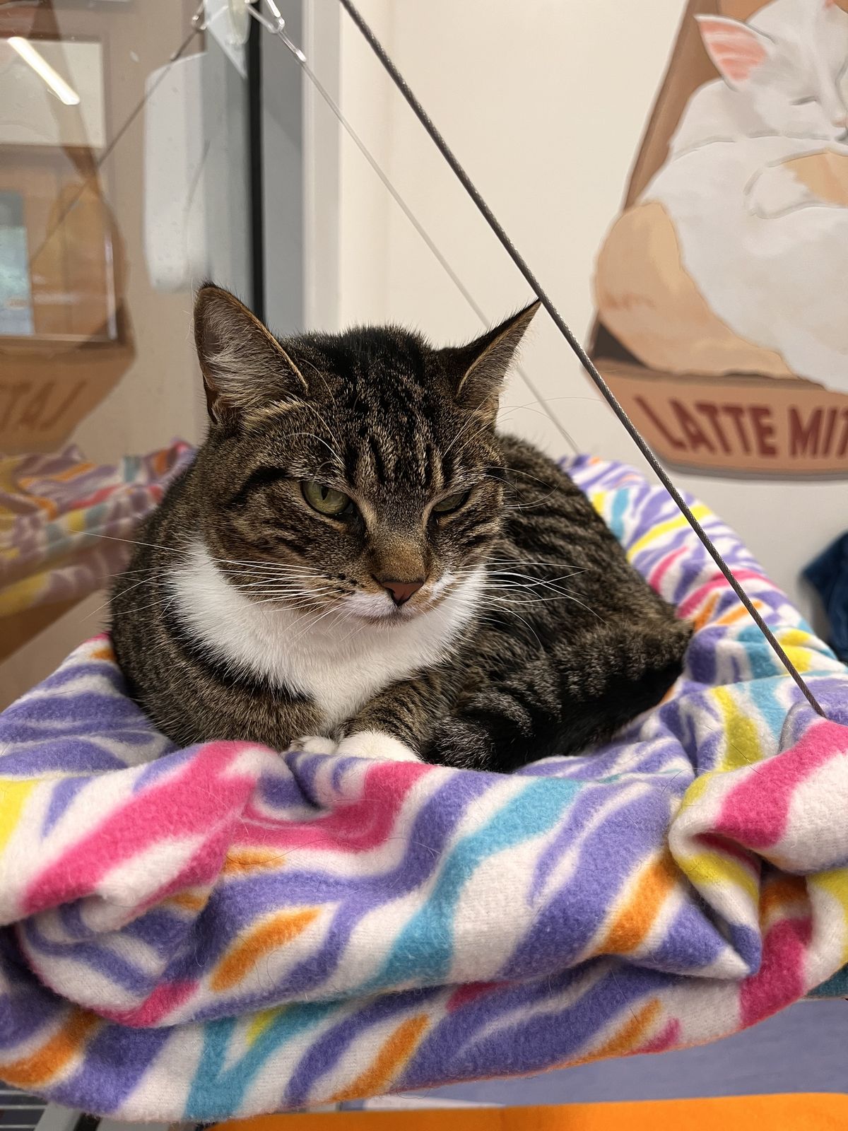 Gallery image: Pidan