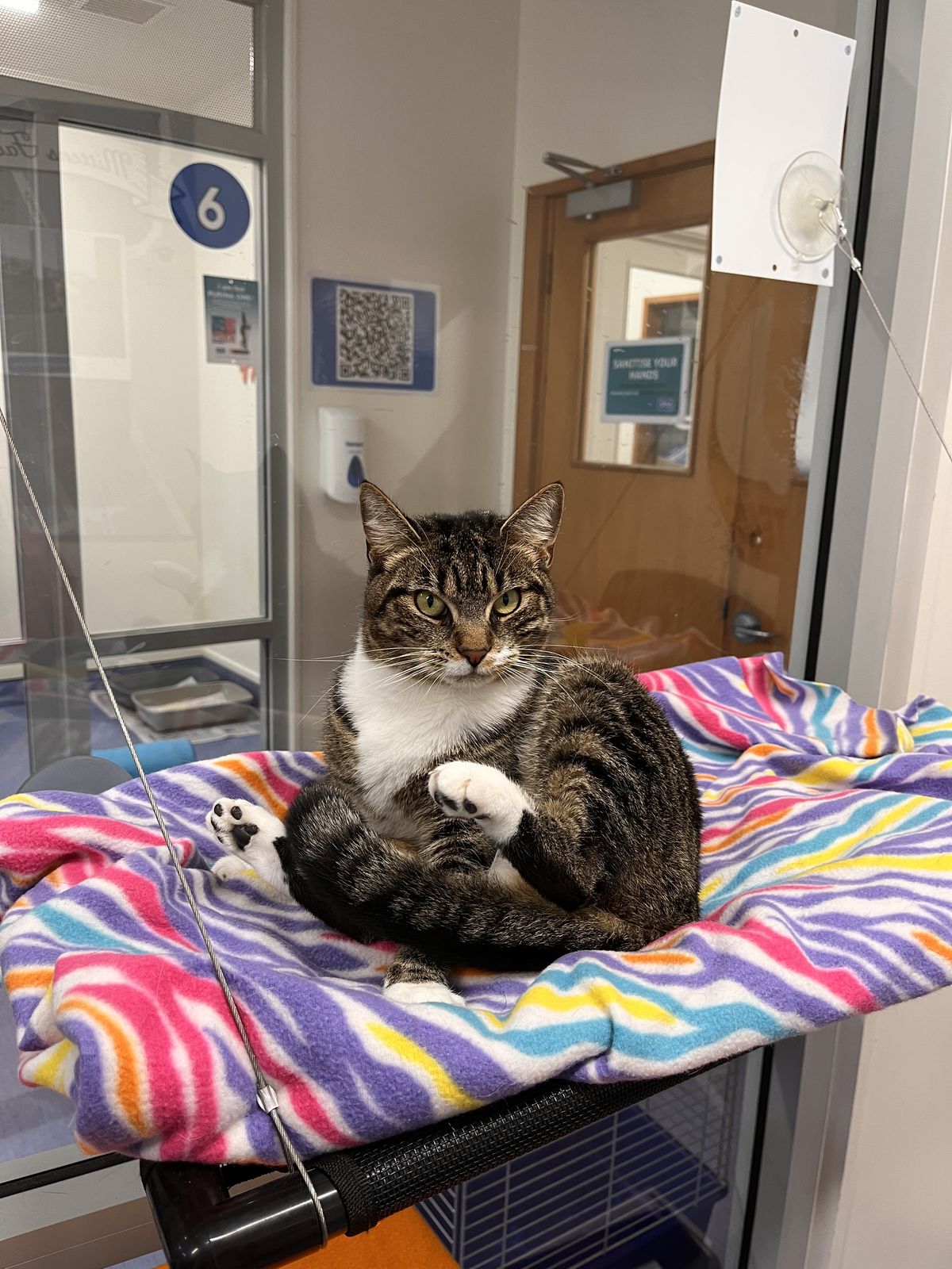 Gallery image: Pidan