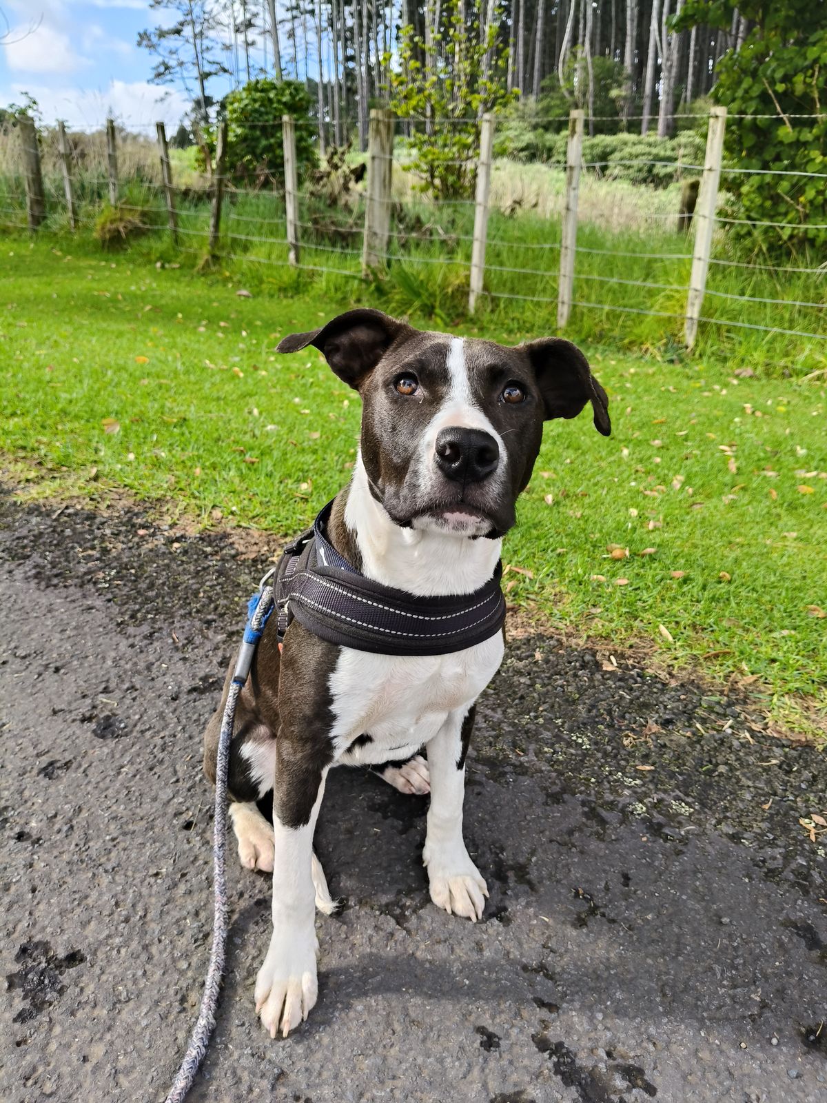 Gallery image: Quinn 