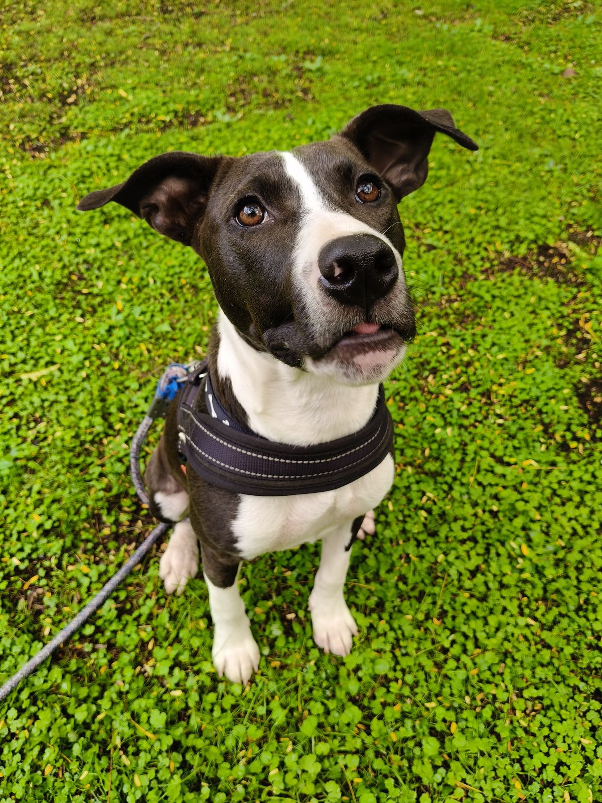 Gallery image: Quinn 