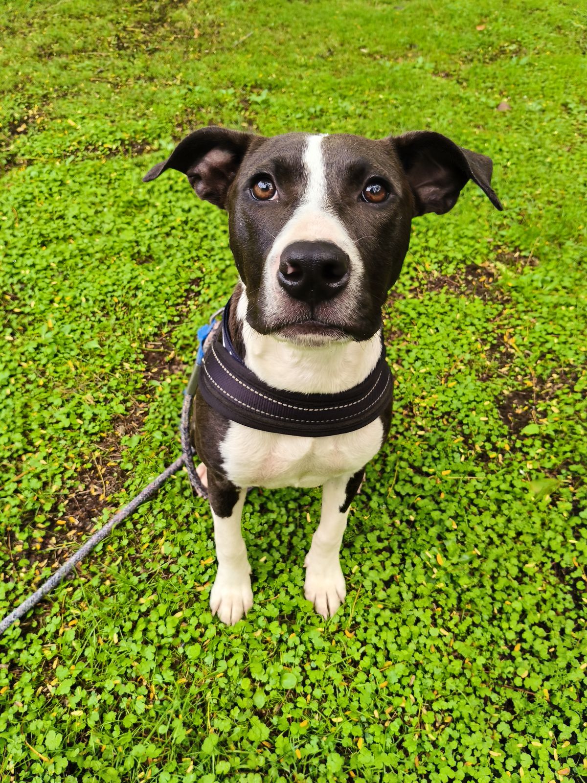 Gallery image: Quinn 